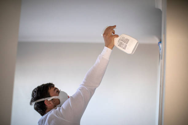 Best Black Mold Remediation in Spring Arbor, MI